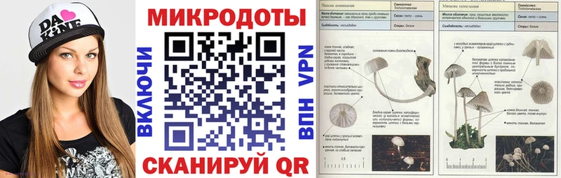 Псилоцибиновые грибы MAGIC MUSHROOMS  купить наркотик  Шатура 